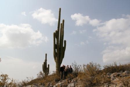 Die kleinen Punkte am Fuss des Kaktus sind wir!!!
